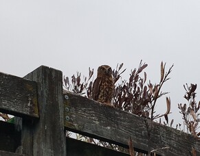 Welcome to our new Website!  Do let us know your thoughts, love to get your feedback